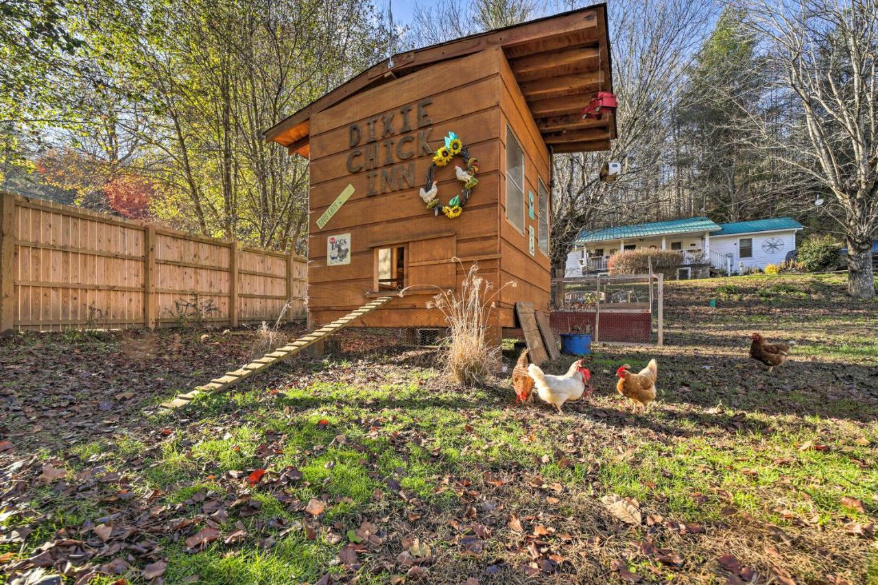 Smoky Mountain Vacation Rental With Hot Tub And Kayaks Whittier Buitenkant foto